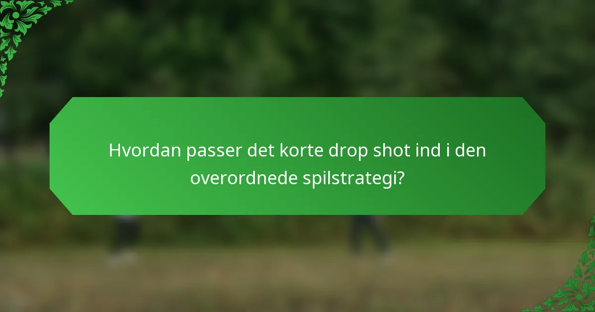 Hvordan passer det korte drop shot ind i den overordnede spilstrategi?